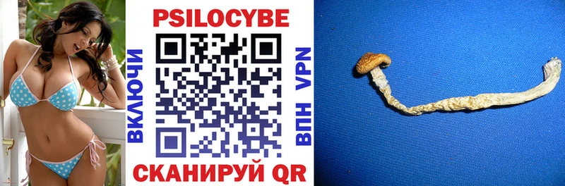 МЕГА онион  Карасук  Галлюциногенные грибы Magic Shrooms 